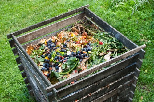 Recycling bins and sorted waste in a business back yard